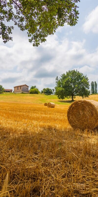 Campagne Luçon - Construire maison Luçon